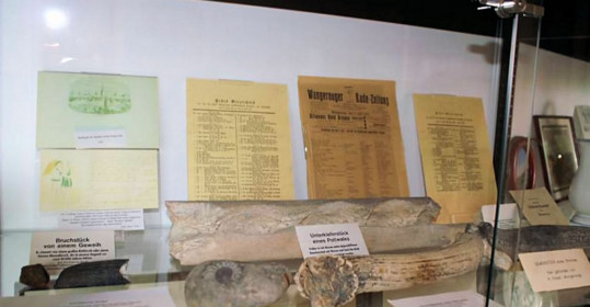 Die Sammlung Jürgens im alten Inselmuseum