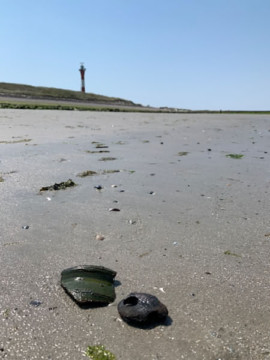 Keramikrest - Fundstück vom alten Westdorf